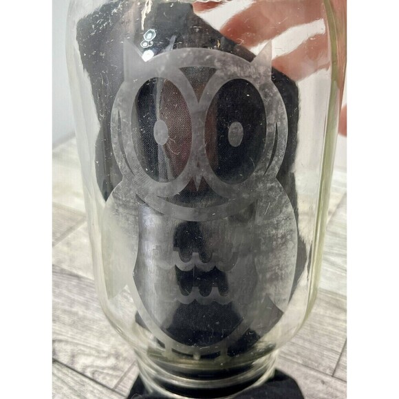 Repurposed Mason Jar Bird Feeder Lamp With Etched Owl Modern Farmhouse - Picture 8 of 15